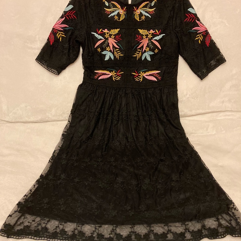 Beautiful Roolee Embroidered Dress